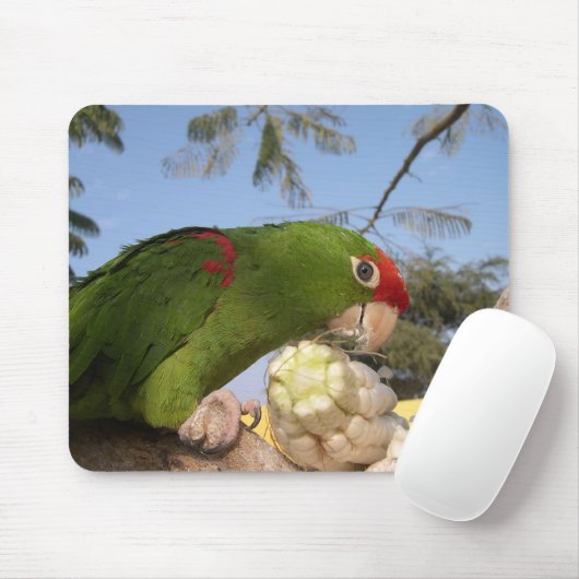 Grünsittich Mousepad (Mit Mouse)