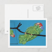 Grünsittich Postkarte (Vorne/Hinten)