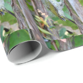 Grünspecht Geschenkpapier (Rolleneckpunkt)
