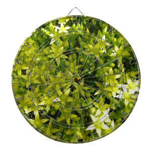 Grünstern wie Blume-Kräuterpflanzen-Pflanze Dartscheibe