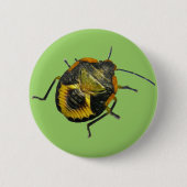 Grünstinkfehler Nymph-Koordinationselemente Button (Vorderseite)