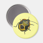 Grünstinkfehler Nymph-Koordinationselemente Magnet (Vorderseite/Rückseite)