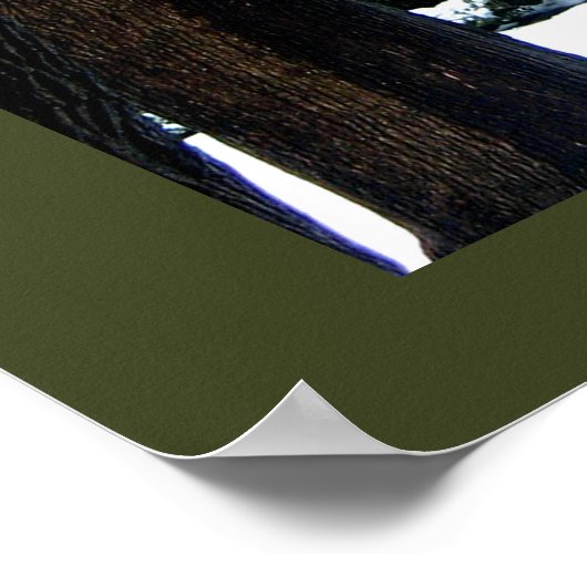 Grüntöne im öffentlichen Garten Poster (Ecke)