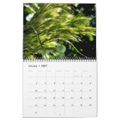 Grüntöne in der Natur Kalender (Jan 2027)