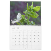Grüntöne in der Natur Kalender (Mär 2027)