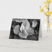Grüntöne mit B/W-Karte Karte (Gelbe Blume)