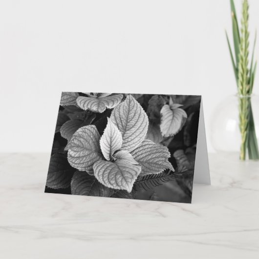 Grüntöne mit B/W-Karte Karte (Vorderseite)