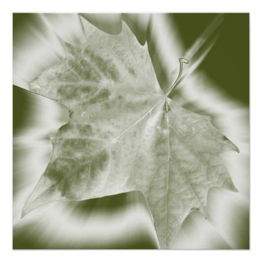 Grüntöne Poster (Vorderseite)