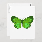 Grüntöne Postkarte (Vorne/Hinten)