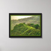 Grünwald auf dem Hügel Leinwanddruck (Vorderseite)