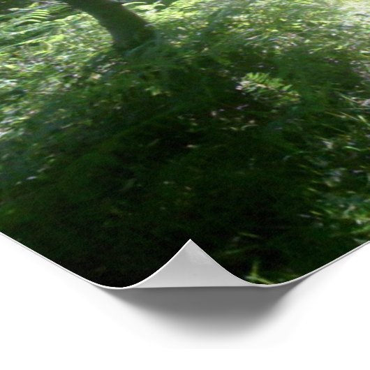 Grünwald Glade Poster (Ecke)