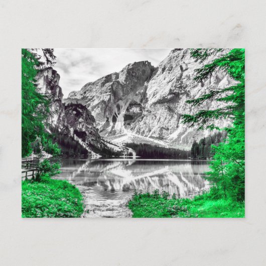 Grünwald mit Schwarz-weißer Berglandschaft Postkarte (Vorderseite)