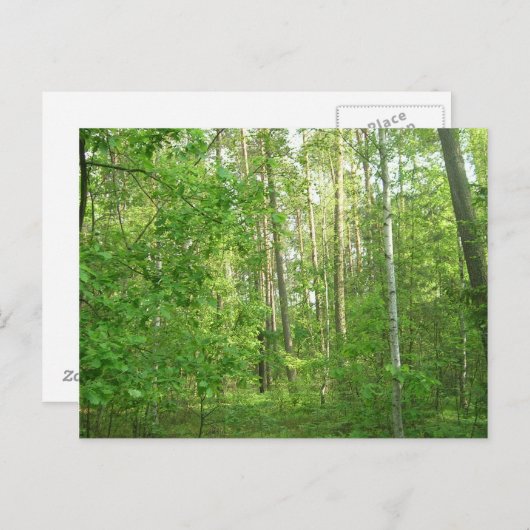 Grünwald Postkarte (Vorne/Hinten)