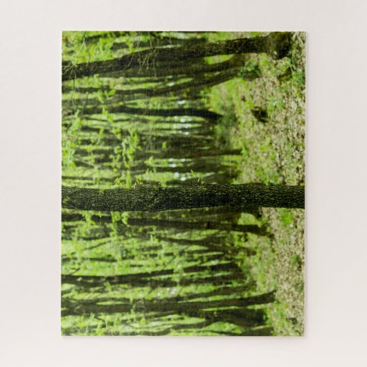 Grünwald Puzzle (Vertikal)