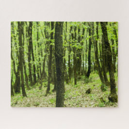 Grünwald Puzzle