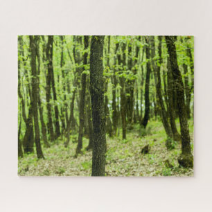 Grünwald Puzzle
