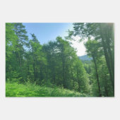 Grünwaldlandschaftsfotografie Geschenkpapier Set (Vorderseite)