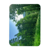 Grünwaldlandschaftsfotografie Magnet (Vertikal)