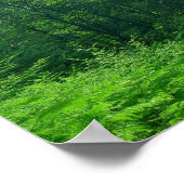 Grünwaldlandschaftsfotografie Poster (Ecke)