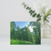 Grünwaldlandschaftsfotografie Postkarte (Stehend Vorderseite)