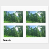 Grünwaldlandschaftsfotografie Rechteckiger Aufkleber (Blatt)