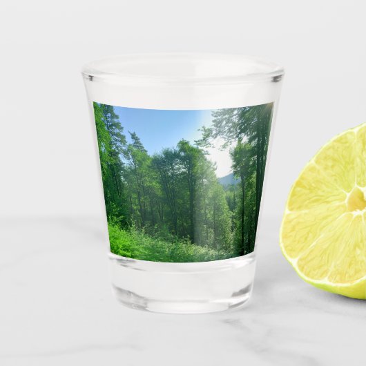 Grünwaldlandschaftsfotografie Schnapsglas (Vorderseite)