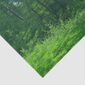 Grünwaldlandschaftsfotografie Seidenpapier (Detail)