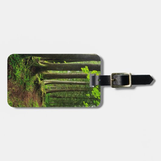 Grünwaldweg Landschaftlich Gepäckanhänger (Vorderseite horizontal)