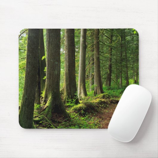 Grünwaldweg Landschaftlich Mousepad (Mit Mouse)