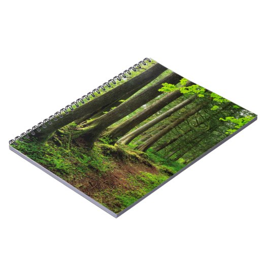 Grünwaldweg Landschaftlich Notizblock (Linke Seite)