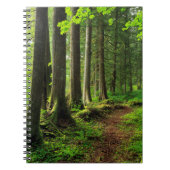 Grünwaldweg Landschaftlich Notizblock (Vorderseite)