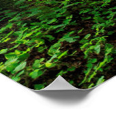 Grünwaldweg Landschaftlich Poster (Ecke)