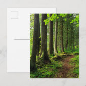 Grünwaldweg Landschaftlich Postkarte (Vorne/Hinten)