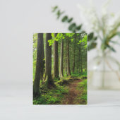 Grünwaldweg Landschaftlich Postkarte (Stehend Vorderseite)
