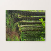 Grünwaldweg Landschaftlich Puzzle (Horizontal)