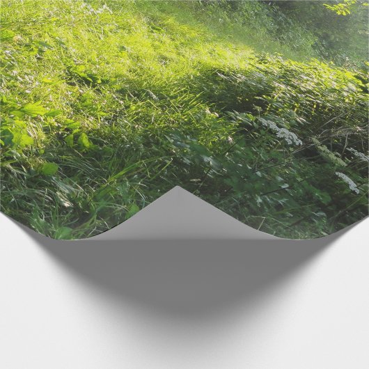 Grünwaldwiese Geschenkpapier (Ecke)