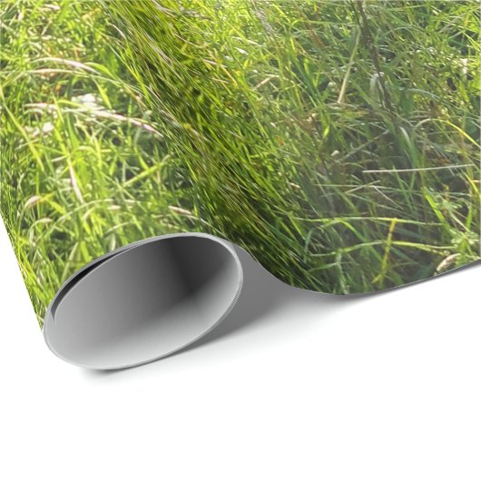 Grünwaldwiese Geschenkpapier (Rolleneckpunkt)