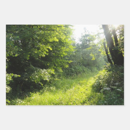 Grünwaldwiese Geschenkpapier Set (Vorderseite 3)