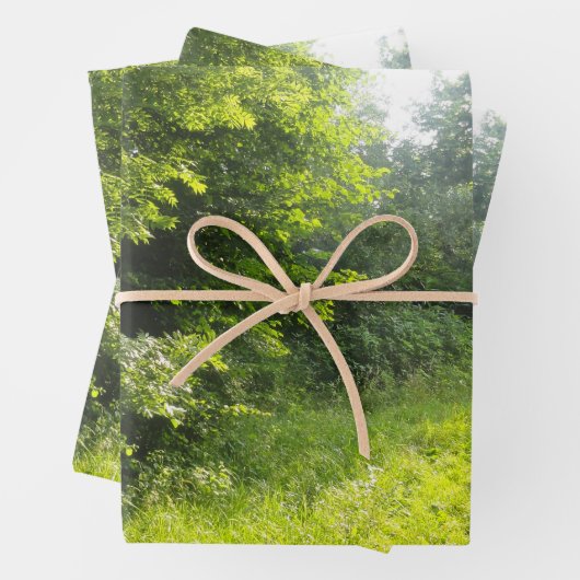 Grünwaldwiese Geschenkpapier Set (Beispiel)