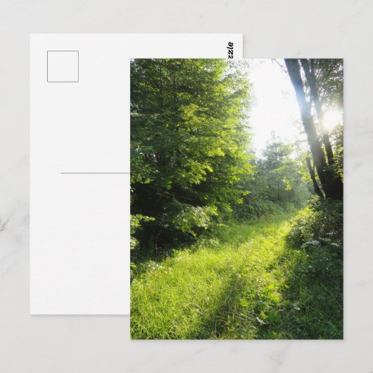 Grünwaldwiese Postkarte (Vorne/Hinten)