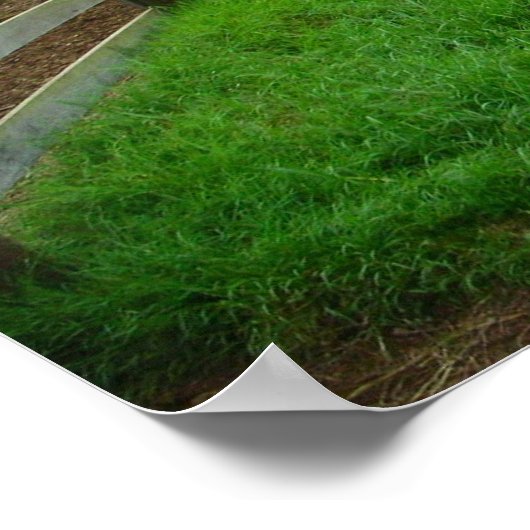 Grünweiden Poster (Ecke)