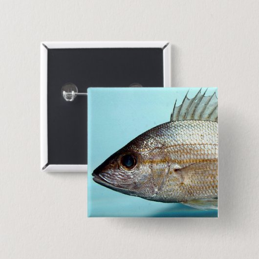 Grunzen-Fische Button (Vorne & Hinten)