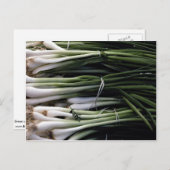 Grünzwiebeln Postkarte (Vorne/Hinten)