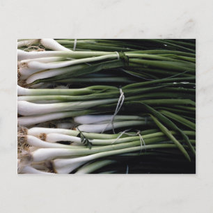 Grünzwiebeln Postkarte
