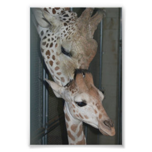 Gruppe 4X6 Print #4 Fotodruck