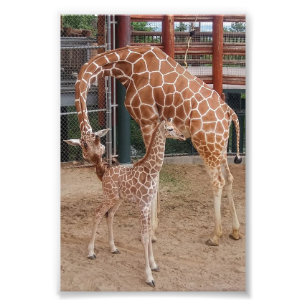 Gruppe 4X6 Print #8 Fotodruck