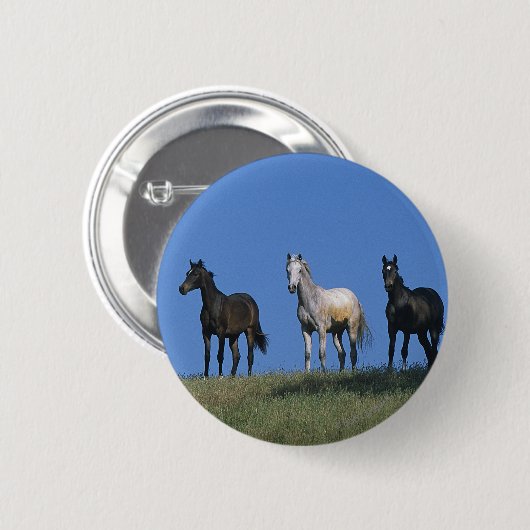 Gruppe Araber Button (Vorne & Hinten)