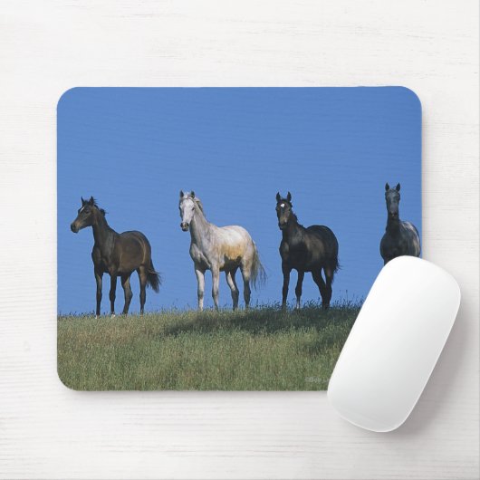 Gruppe Araber Mousepad (Mit Mouse)