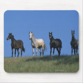 Gruppe Araber Mousepad (Vorne)