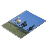 Gruppe Araber Notizblock (Linke Seite)